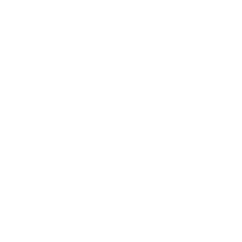 Bravo Brands